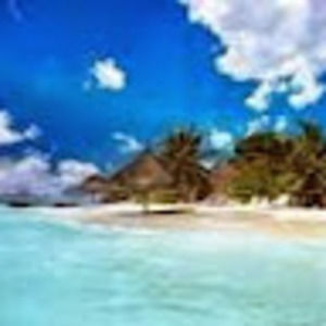 Meet your Posher, Rachelle